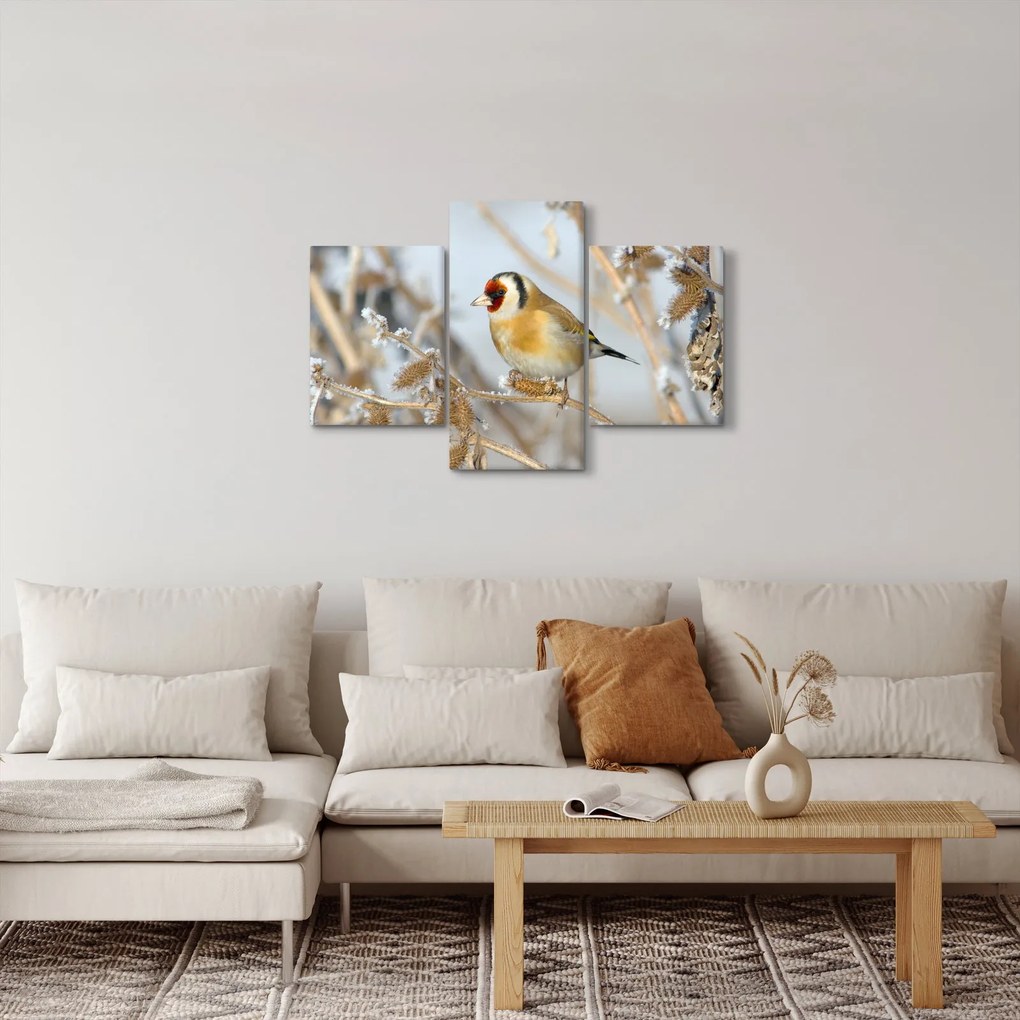 Obraz - Stehlík (90x60 cm)