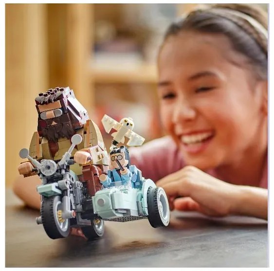 Lego®  Harry Potter™ 76443 Hagrid™ a Harry na motorke  (100396782)