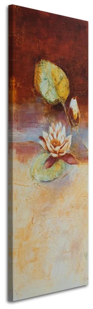 Obraz na plátně Vodní Lilie Květina Příroda - 40x120 cm