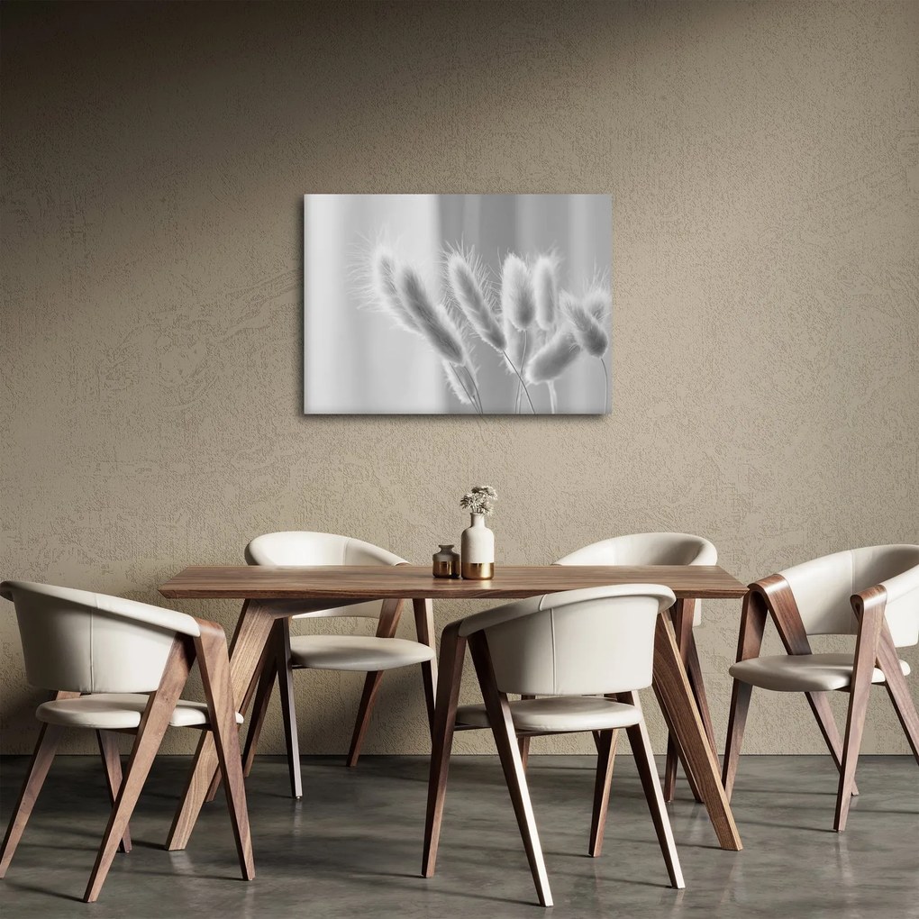 Obraz - Bunny tail grass (70x50 cm)