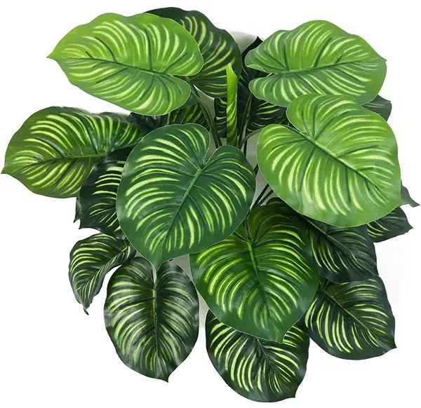 Umelá rastlina Calathea zelená 22 listov 45 cm