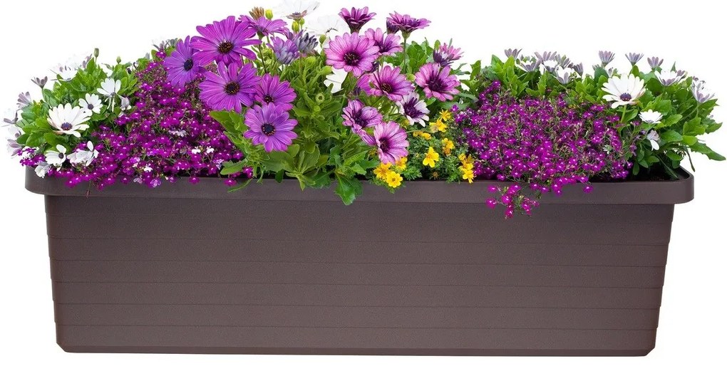 Plastia Samozavlažovací truhlík Berberis TRIO, čokoláda, 117 cm