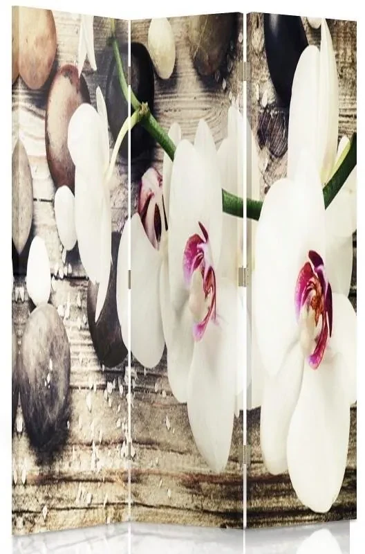 Gario Paraván Diskrétny pôvab orchideí Rozmery: 145 x 170 cm, Prevedenie: Otočný paraván 360°