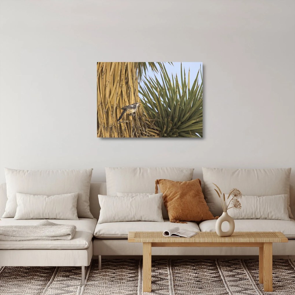 Sklenený obraz - Oriešok (70x50 cm)