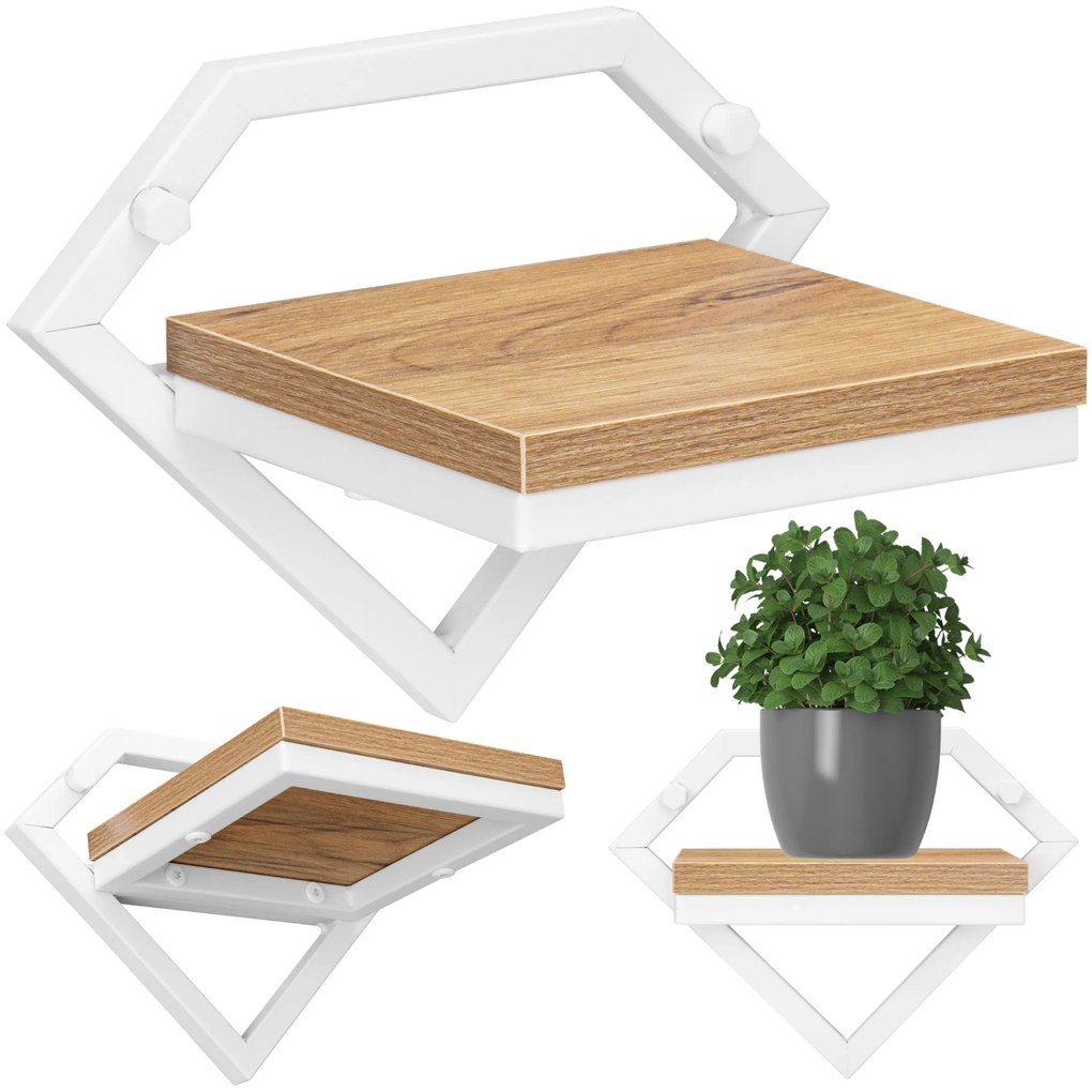 Nástenný kvetinový stojan DORON biely/dub remeselný