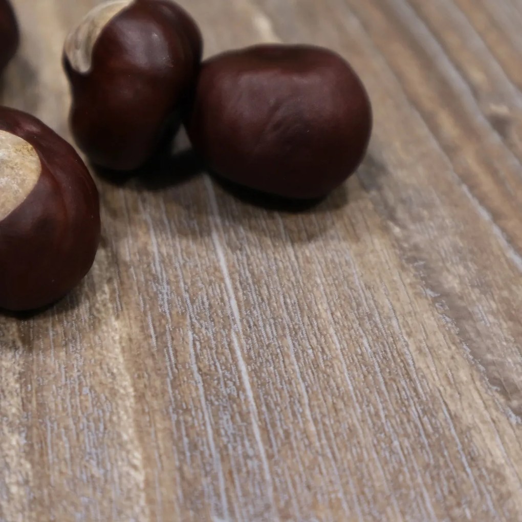 Beauflor, PVC podlaha - lino Texalino Supreme 631 M Barn Pine - borovica, na mieru, šíře 2m,4m,5m, hnedá, filc, chodba / predsieň