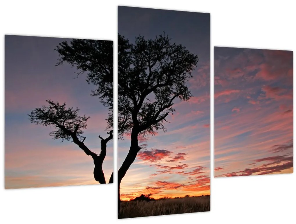 Obraz - Strom a červánky (90x60 cm)