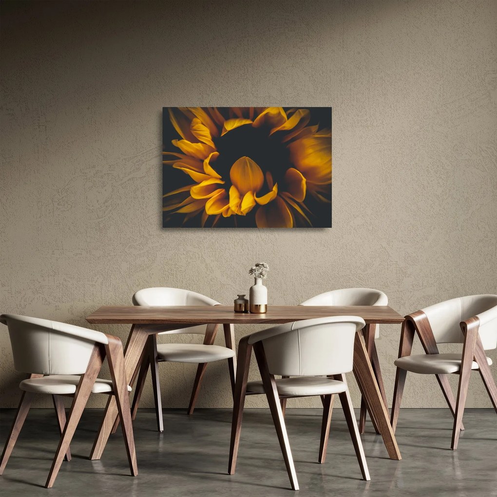 Sklenený obraz - Slnečnica v čiernom pozadí (70x50 cm)