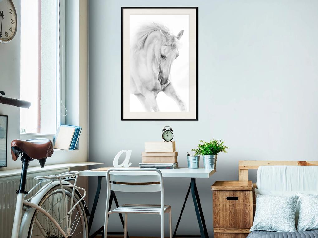 Artgeist Plagát - White Horse [Poster] Veľkosť: 40x60, Verzia: Čierny rám