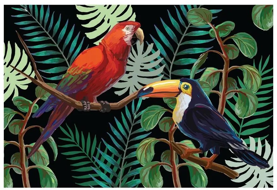 Fototapeta Vliesová Ara toucan 208x146 cm