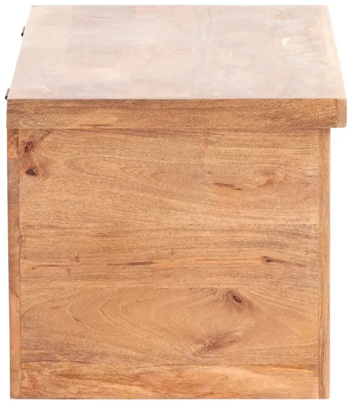 furniture-nabytek.cz - Masívna truhlica Delhi z mangového dreva, hnedá – 88×88×44 cm