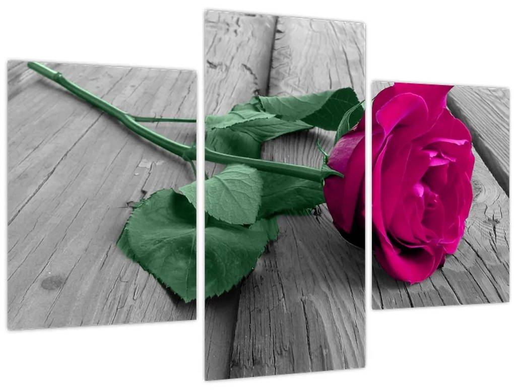 Obraz - Ružová ruža so zelenou stonkou (90x60 cm)