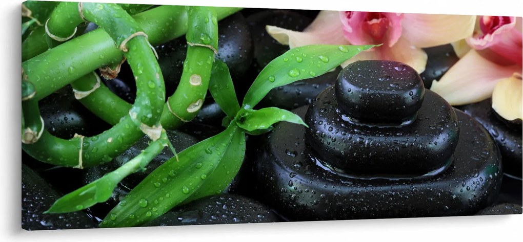 Obraz - Kamene a orchidey (120x50 cm)