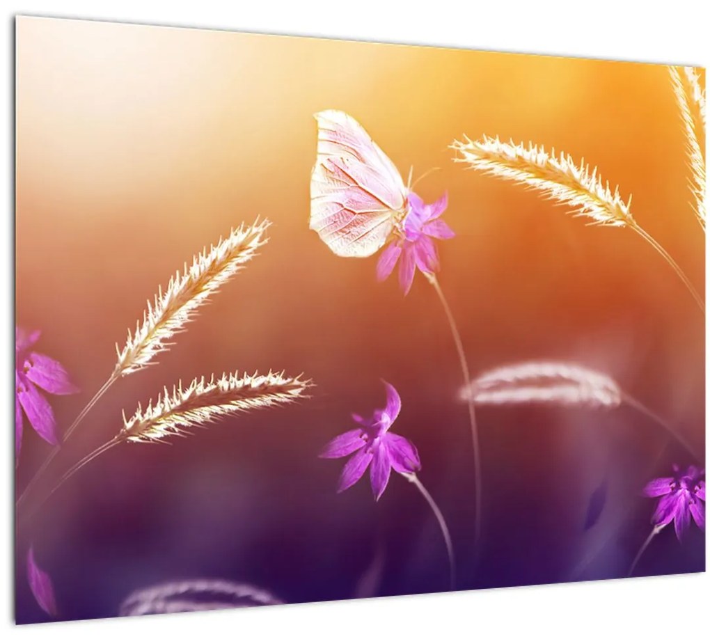 Sklenený obraz - Ružový motýľ (70x50 cm)
