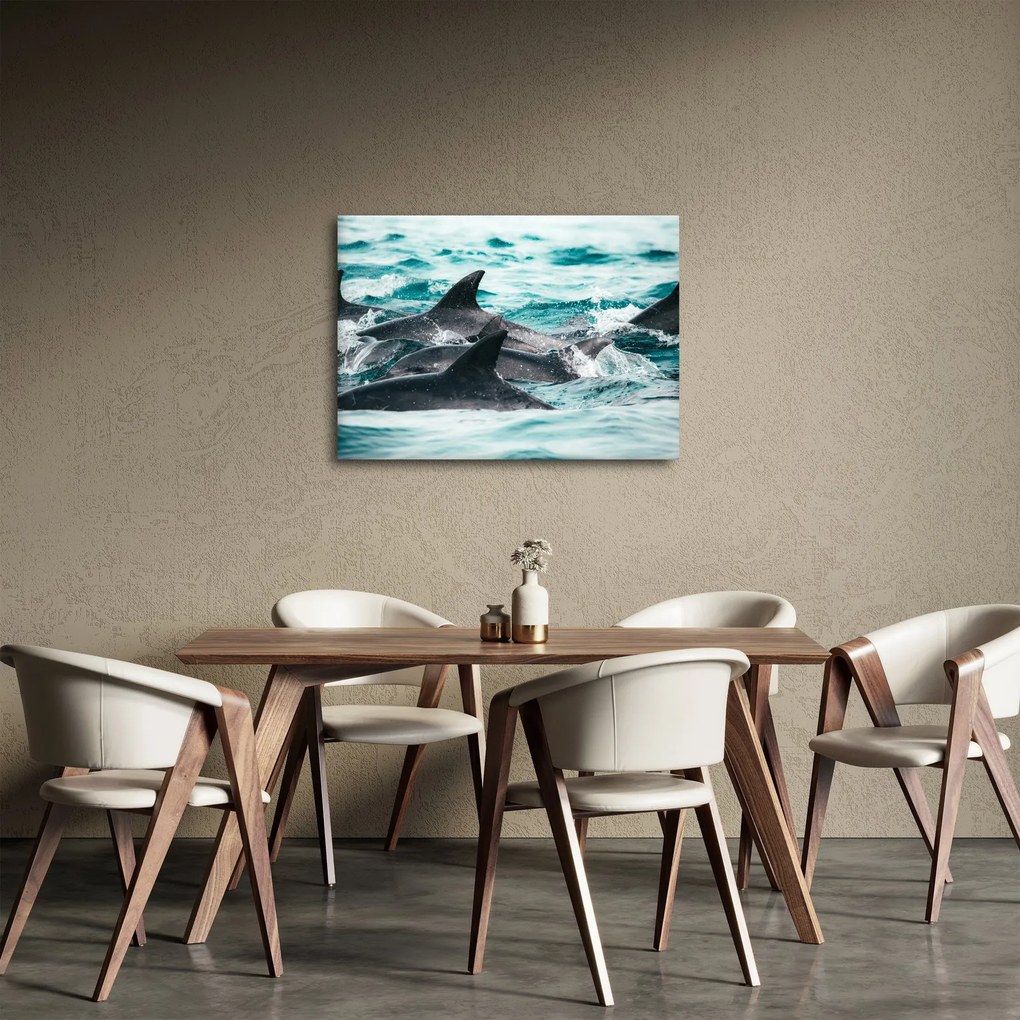 Obraz - Delfíny v oceáne (70x50 cm)