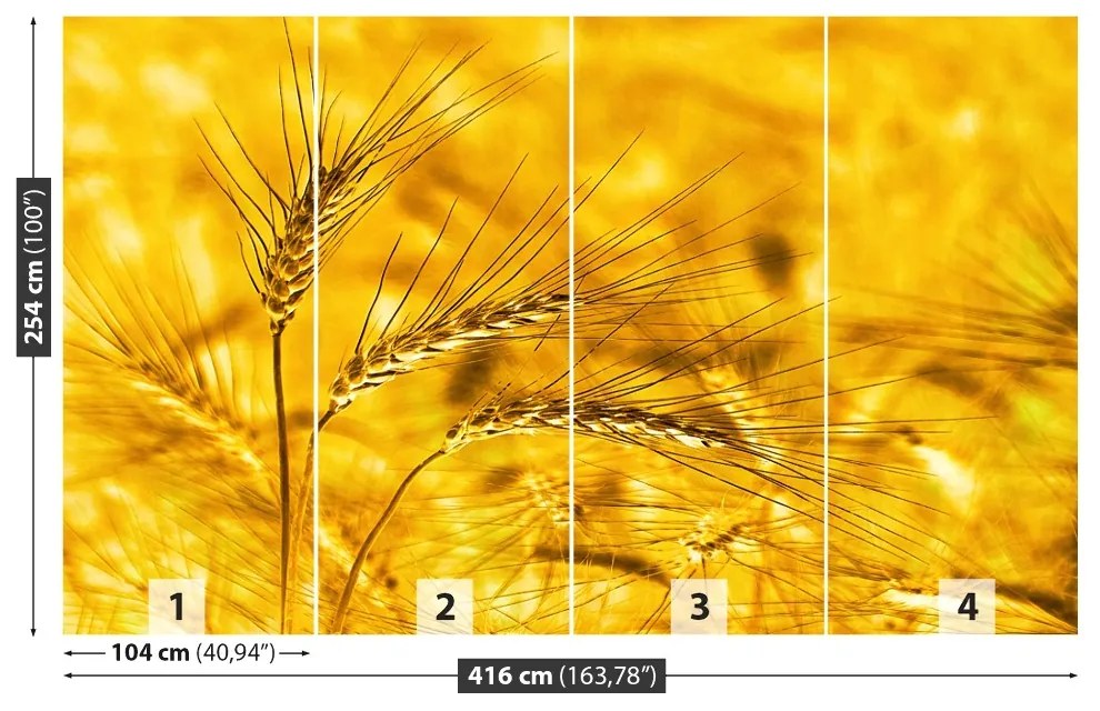 Fototapeta Vliesová Pšeničné polia 250x104 cm