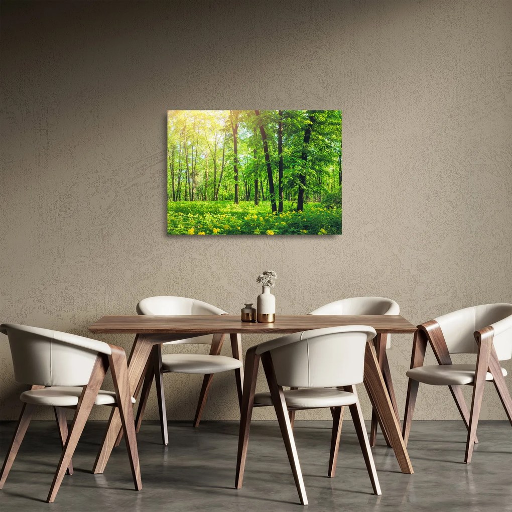Sklenený obraz - Jarný listnatý les (70x50 cm)