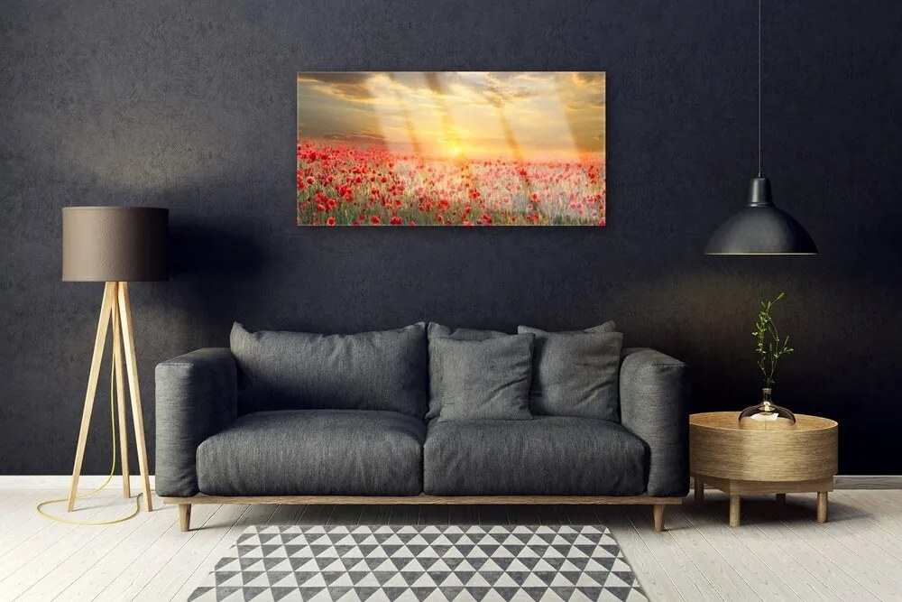 Skleneny obraz Slnko lúka mak kvety 120x60 cm