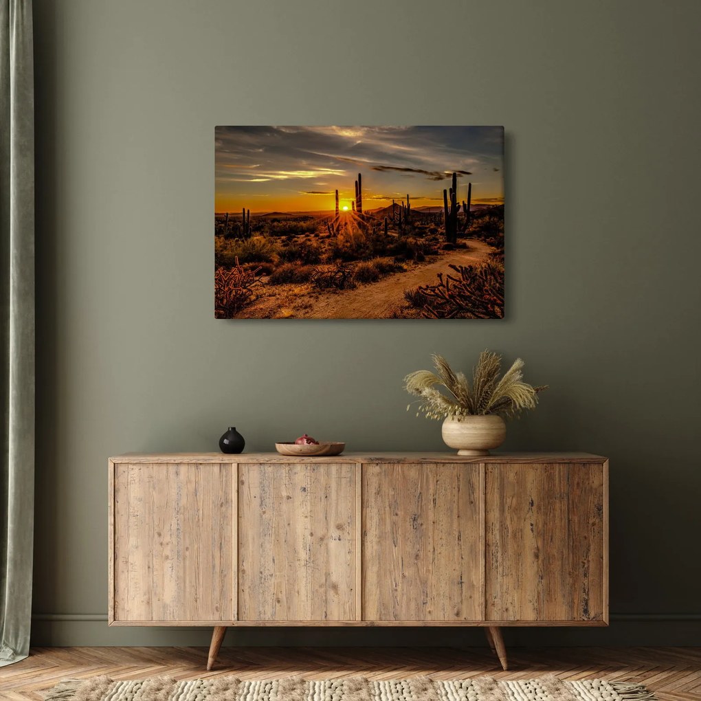 Obraz - Koniec dňa v arizonskej púšti (90x60 cm)