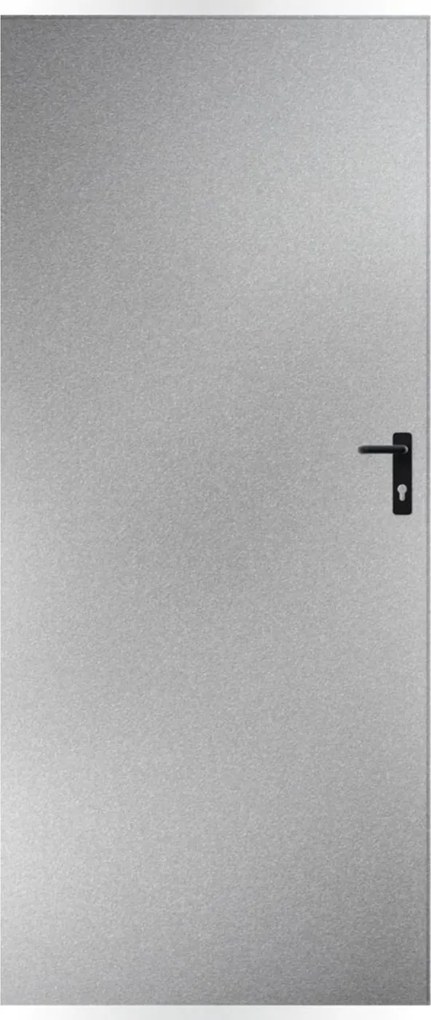 Plechové dvere 80, ľavé, pozinkované