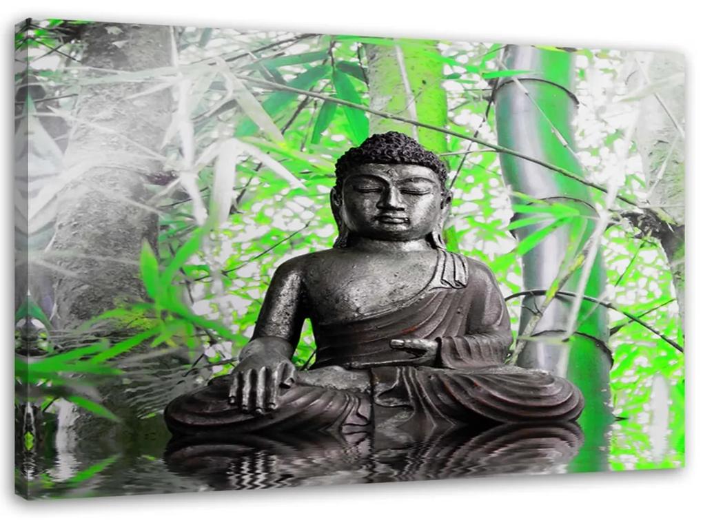 Obraz na plátně Buddha se zelenými listy - 90x60 cm