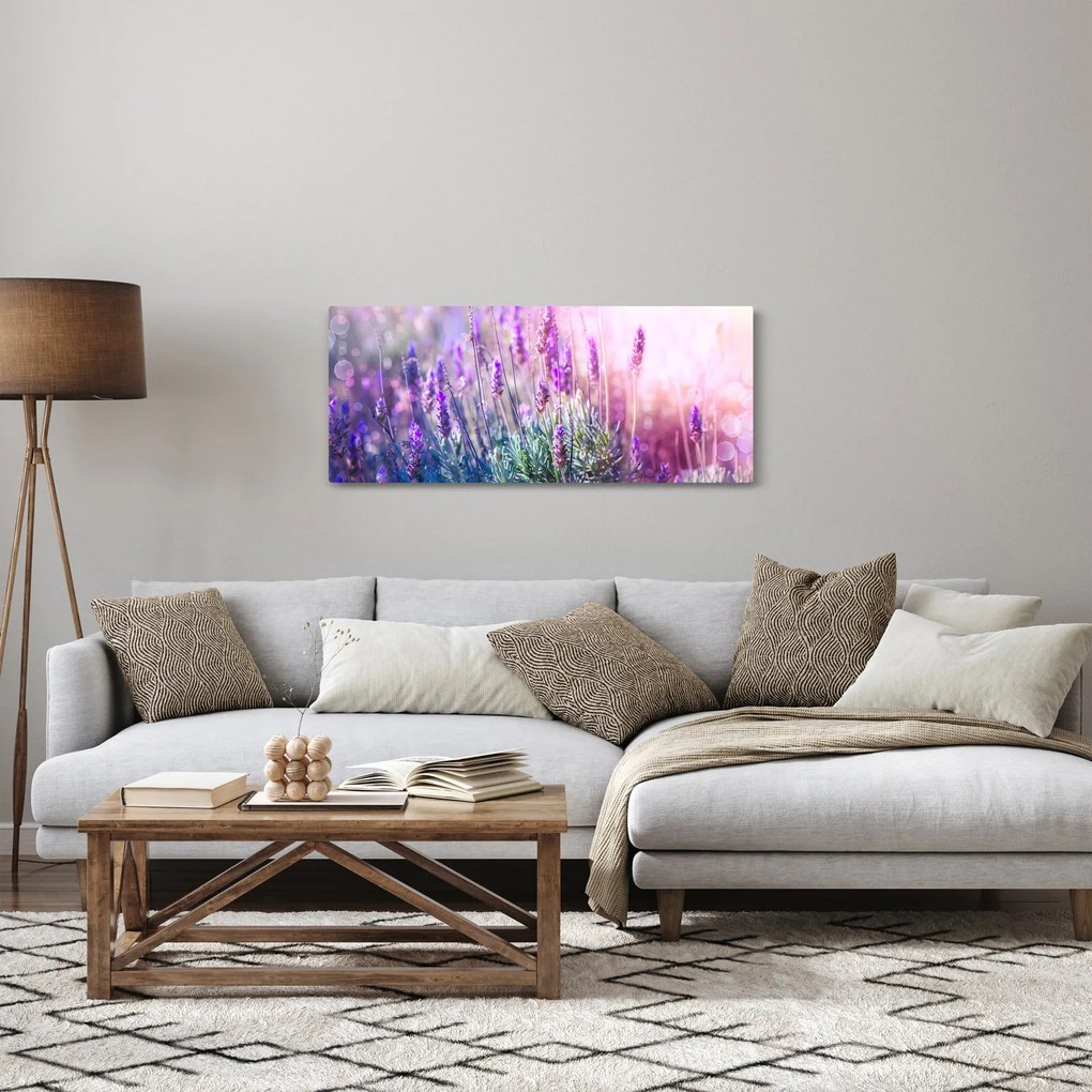 Obraz - Levanduľa vo trblietania slnka (120x50 cm)