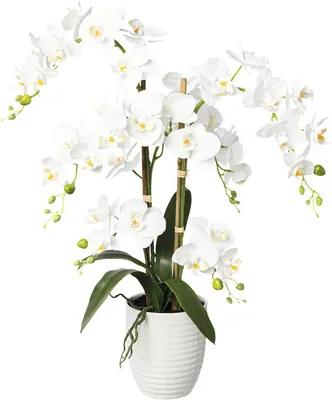 Umelá orchidea phalaenopsis 67 cm biela v keramickom kvetináči 13 x 15 cm Real Touch