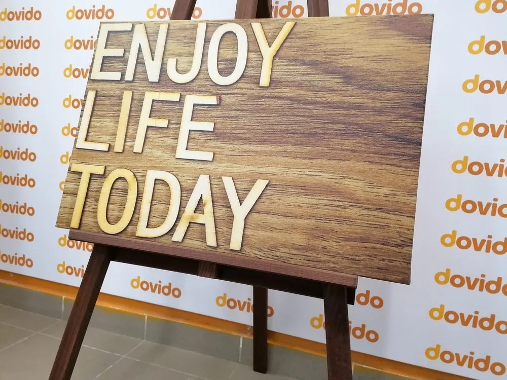 Obraz s citátom - Enjoy life today