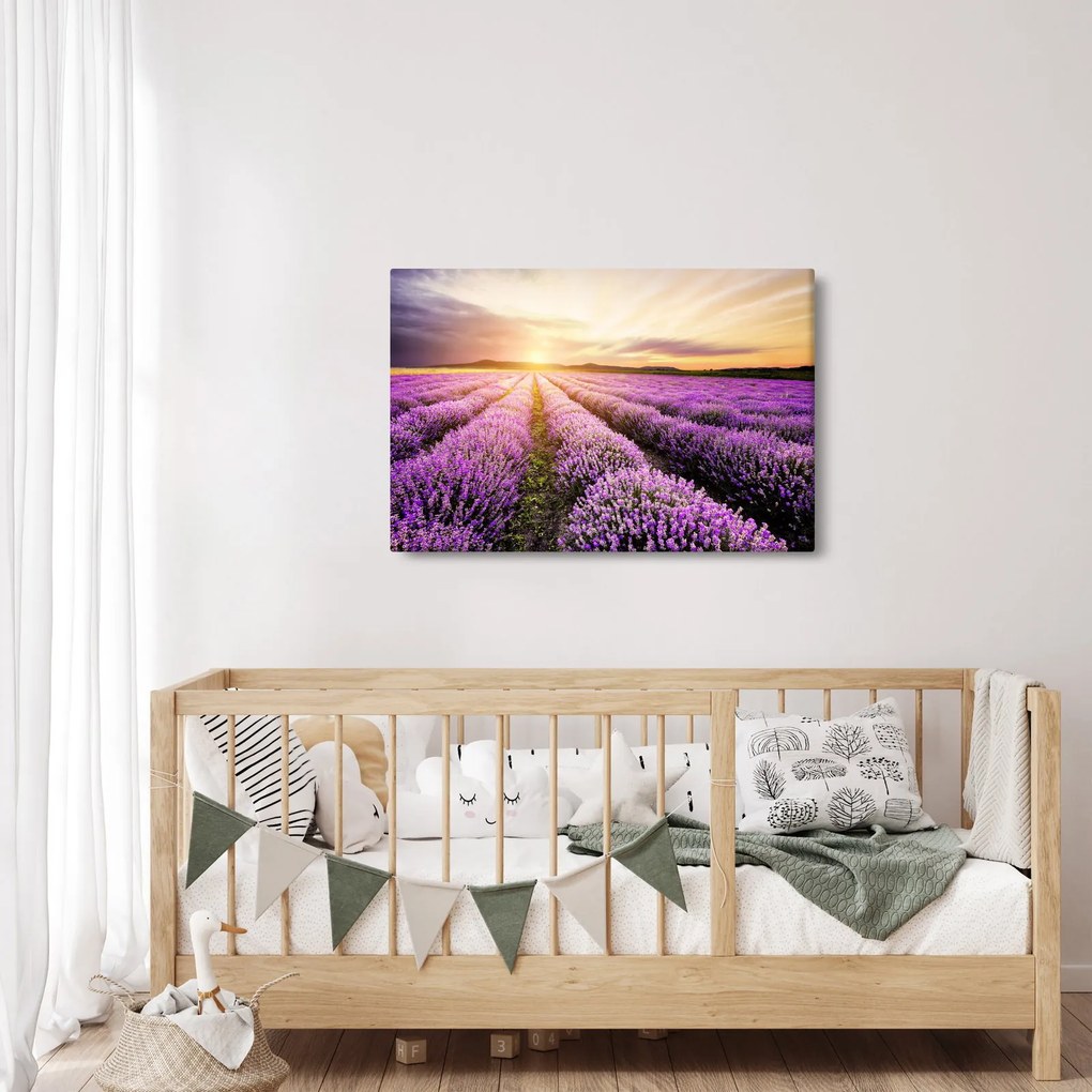 Obraz - Východ slnka v levanduľovom poli (90x60 cm)