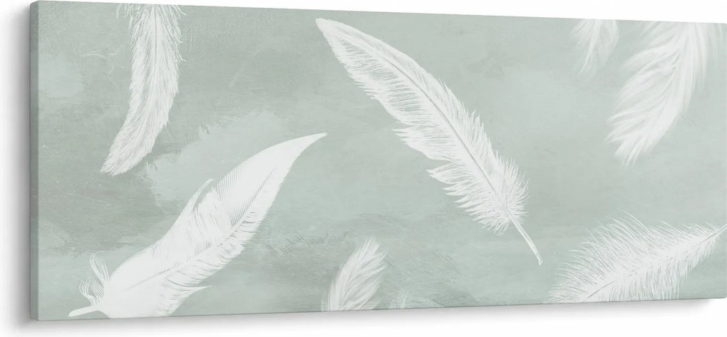 Obraz - Biele pierka (120x50 cm)