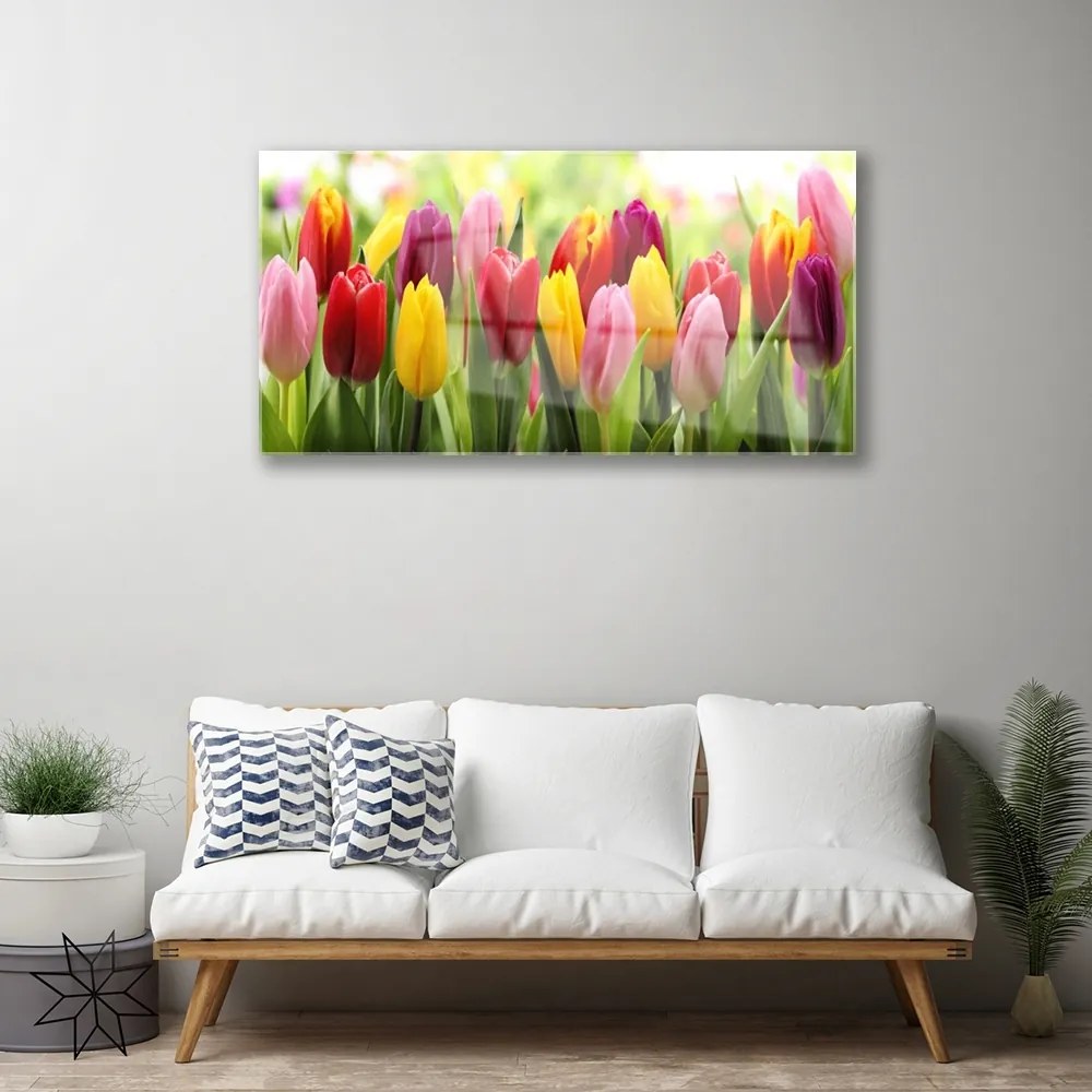 Obraz plexi Tulipány kvety príroda 100x50 cm