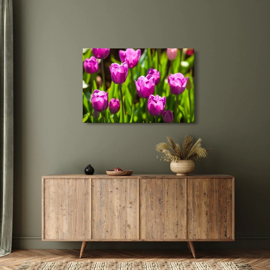 Obraz tulipánov na lúke (90x60 cm)