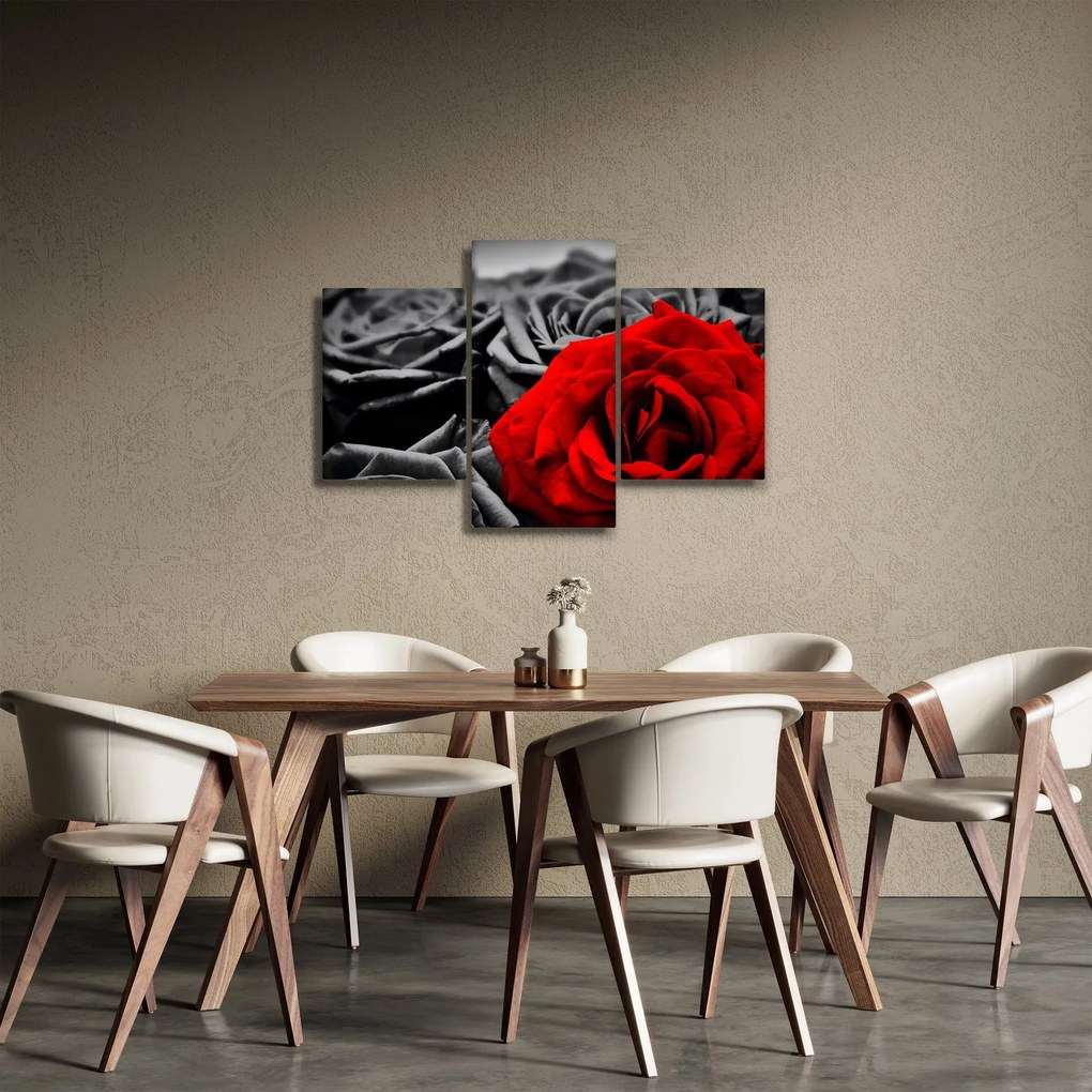 Obraz - Kvety ruží (90x60 cm)