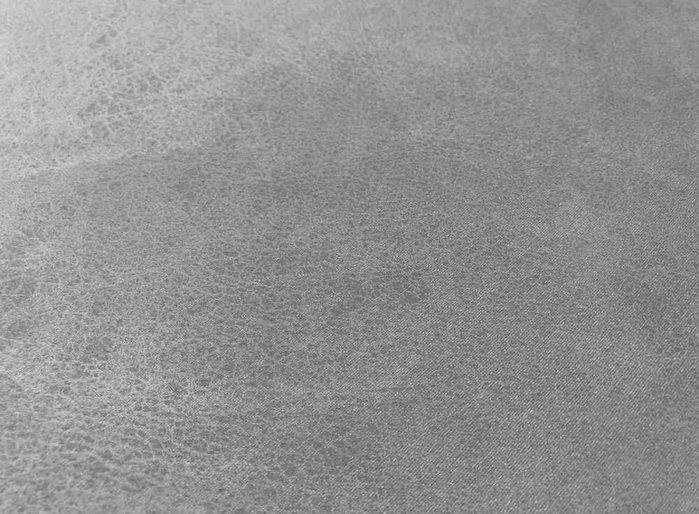 Dvojsedák Nebolo, svetlo šedá látka v optike kože