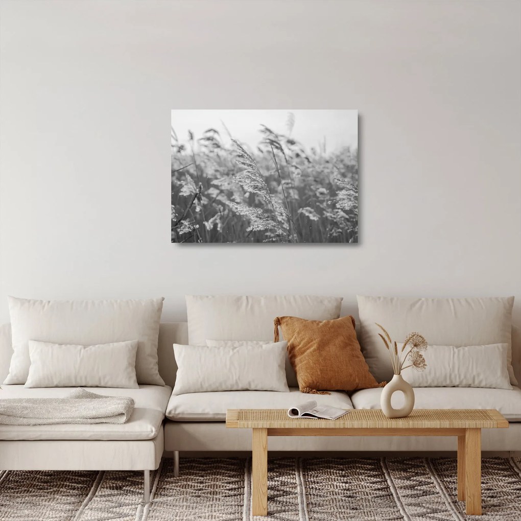 Sklenený obraz - Tráva vo vetre (70x50 cm)