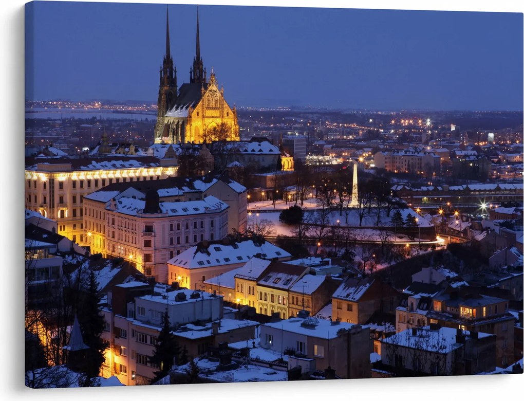 Obraz - Katedrála sv. Petra a Pavla, Brno, Česká Republika (70x50 cm)