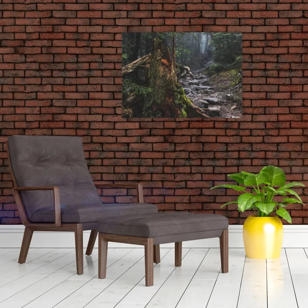 Sklenený obraz - V lese (70x50 cm)