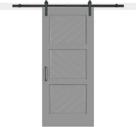 Moderné Barn door dvere asymetrické 60cm, 203cm, hladký, surové drevo bez farby a laku