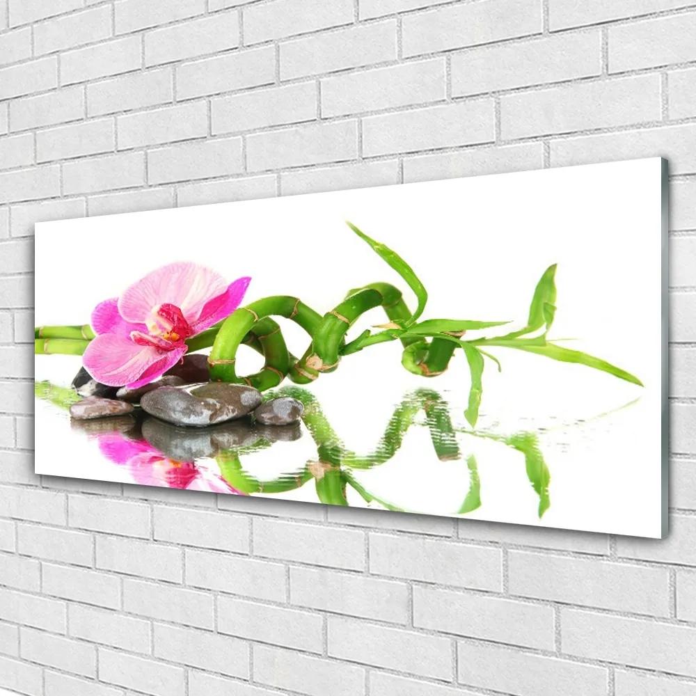 Obraz plexi Bambus kvet kamene umenie 125x50 cm