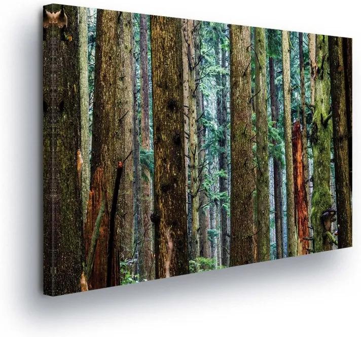 GLIX Obraz na plátne - Trees of Trees 100x75 cm