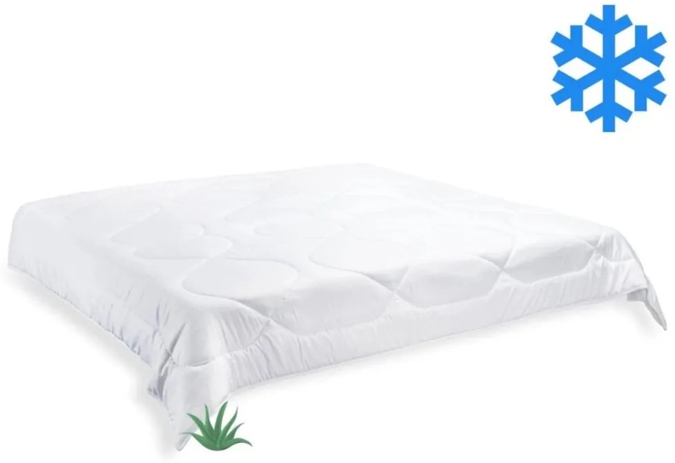 Brotex Prikrývka Aloe Vera zimná 240x220cm 2370 g
