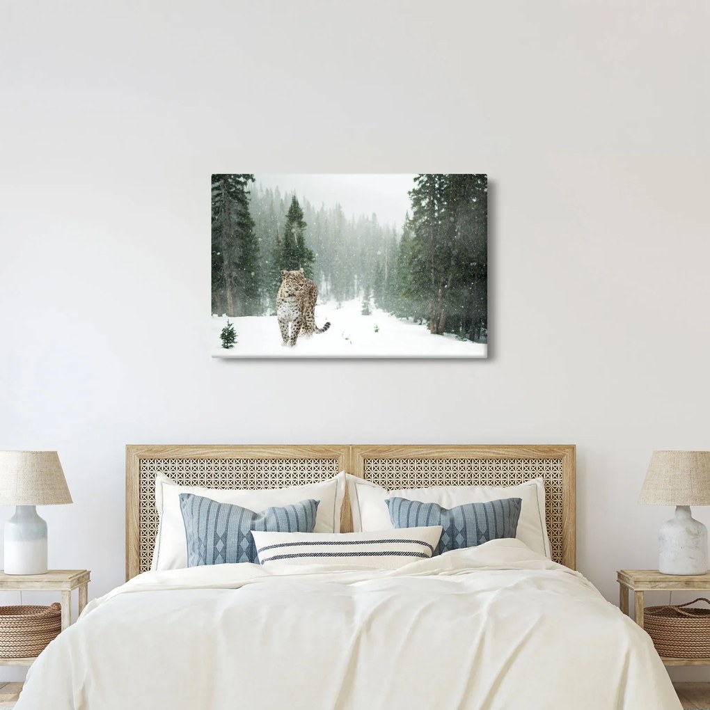 Obraz leoparda v snehu (90x60 cm)