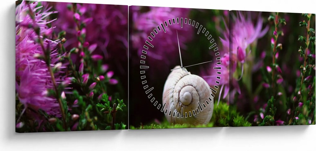 Obraz - Slimáková ulita (s hodinami) (90x30 cm)