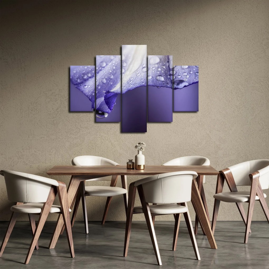 Obraz - Okvetný lístok s kvapkami (150x105 cm)