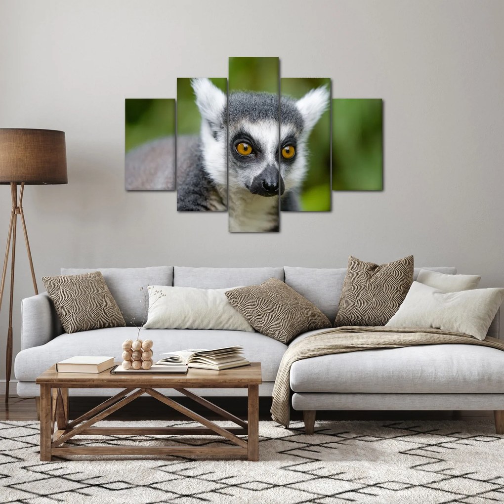 Obraz lemura (150x105 cm)