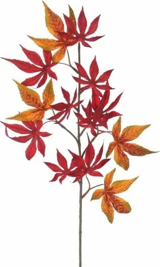 Súprava jesenná vetva Javor, 60 cm, 2 ks