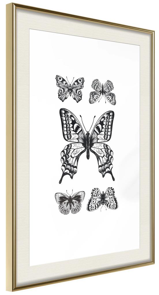 Artgeist Plagát - Five Butterflies [Poster] Veľkosť: 20x30, Verzia: Zlatý rám s passe-partout