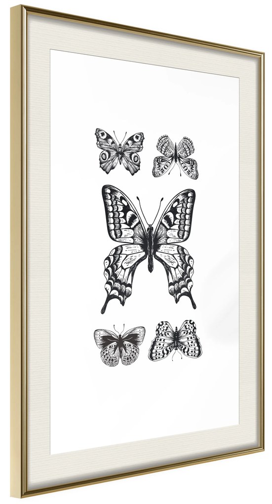 Artgeist Plagát - Five Butterflies [Poster] Veľkosť: 20x30, Verzia: Zlatý rám