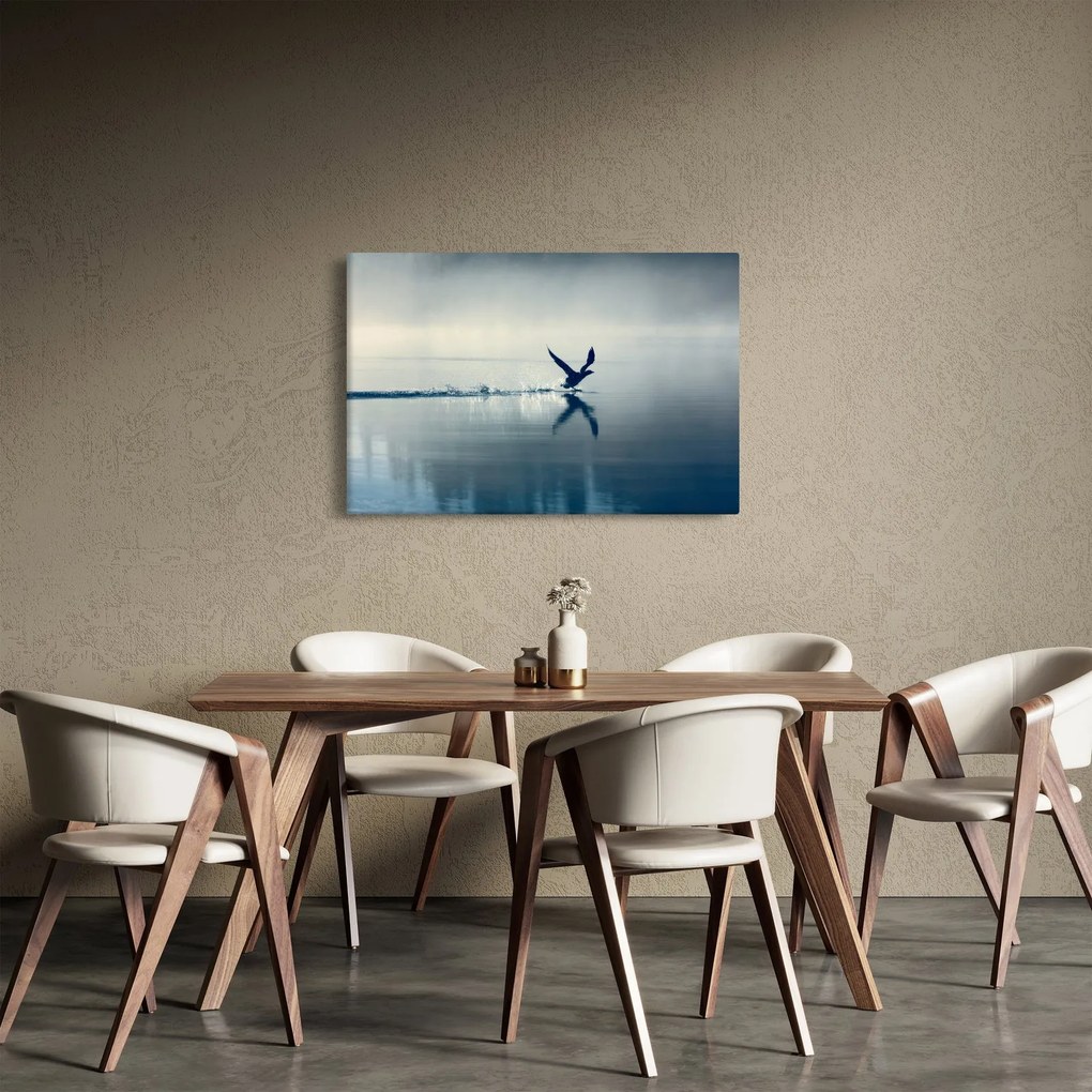 Obraz - Potáplica (90x60 cm)