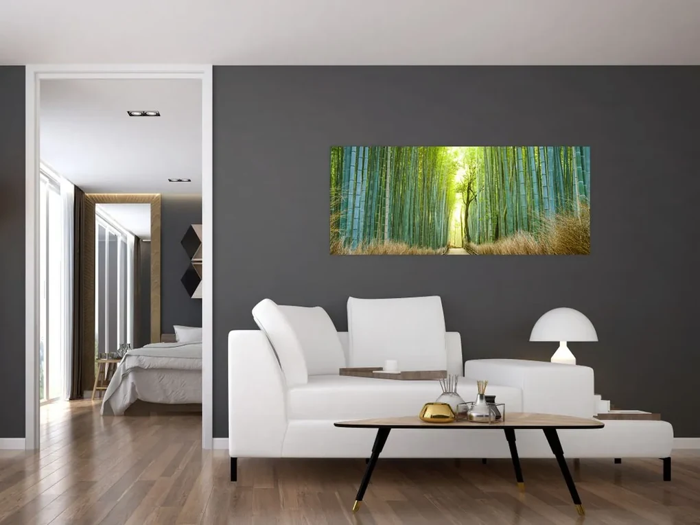 Obraz - Bambusový les (120x50 cm)